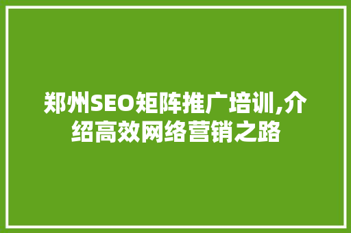 郑州SEO矩阵推广培训,介绍高效网络营销之路