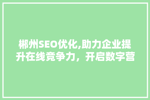 郴州SEO优化,助力企业提升在线竞争力，开启数字营销新篇章  第1张