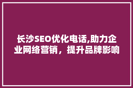 长沙SEO优化电话,助力企业网络营销，提升品牌影响力
