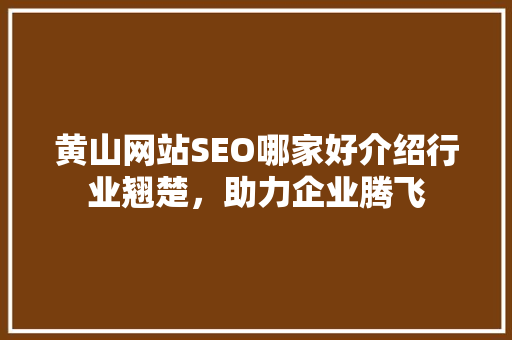 黄山网站SEO哪家好介绍行业翘楚，助力企业腾飞