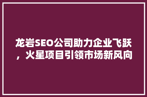 龙岩SEO公司助力企业飞跃，火星项目引领市场新风向