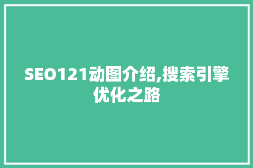 SEO121动图介绍,搜索引擎优化之路