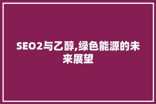 SEO2与乙醇,绿色能源的未来展望