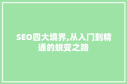 SEO四大境界,从入门到精通的蜕变之路