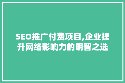 SEO推广付费项目,企业提升网络影响力的明智之选