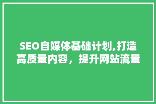 SEO自媒体基础计划,打造高质量内容，提升网站流量与排名