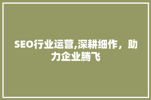 SEO行业运营,深耕细作，助力企业腾飞