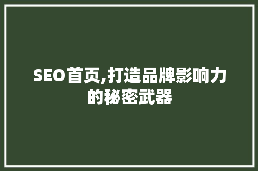 SEO首页,打造品牌影响力的秘密武器