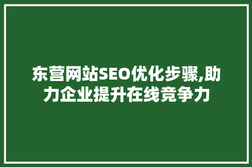 东营网站SEO优化步骤,助力企业提升在线竞争力