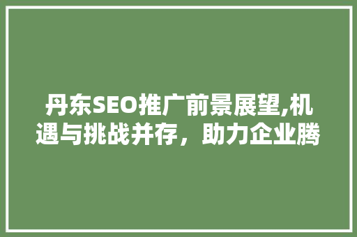 丹东SEO推广前景展望,机遇与挑战并存，助力企业腾飞  第1张