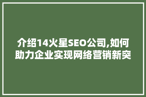 介绍14火星SEO公司,如何助力企业实现网络营销新突破