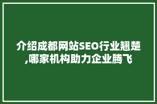 介绍成都网站SEO行业翘楚,哪家机构助力企业腾飞