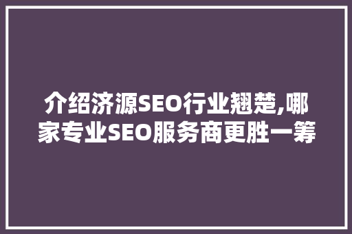 介绍济源SEO行业翘楚,哪家专业SEO服务商更胜一筹