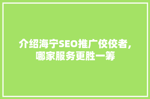 介绍海宁SEO推广佼佼者,哪家服务更胜一筹
