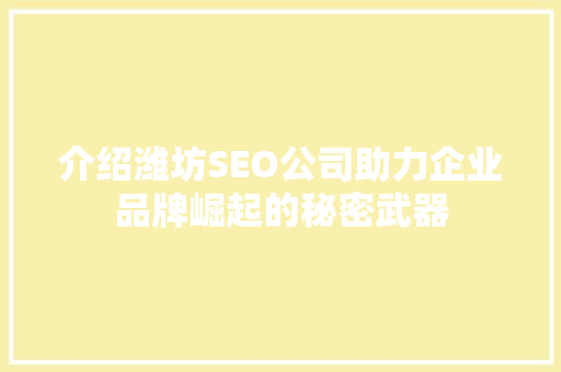 介绍潍坊SEO公司助力企业品牌崛起的秘密武器  第1张