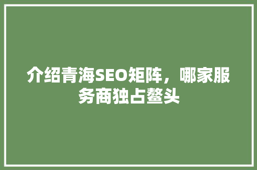 介绍青海SEO矩阵，哪家服务商独占鳌头  第1张