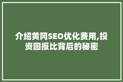 介绍黄冈SEO优化费用,投资回报比背后的秘密