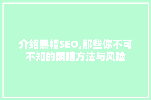 介绍黑帽SEO,那些你不可不知的阴暗方法与风险
