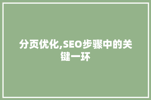 分页优化,SEO步骤中的关键一环