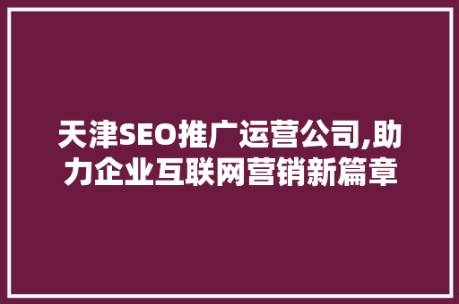 天津SEO推广运营公司,助力企业互联网营销新篇章