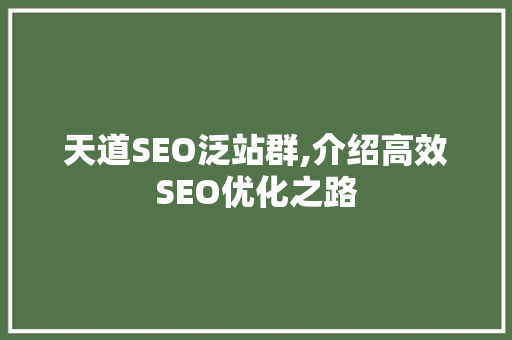 天道SEO泛站群,介绍高效SEO优化之路