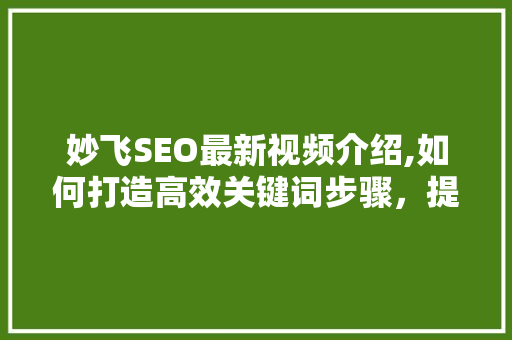 妙飞SEO最新视频介绍,如何打造高效关键词步骤，提升网站排名