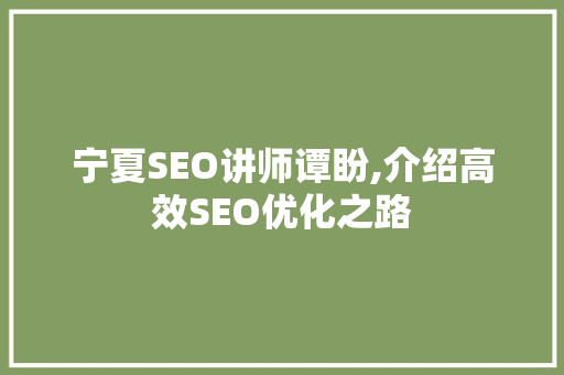 宁夏SEO讲师谭盼,介绍高效SEO优化之路