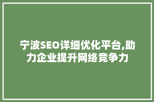 宁波SEO详细优化平台,助力企业提升网络竞争力