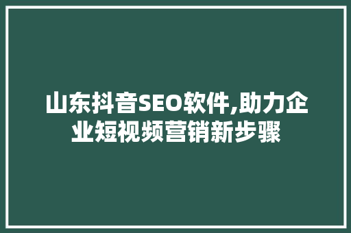 山东抖音SEO软件,助力企业短视频营销新步骤