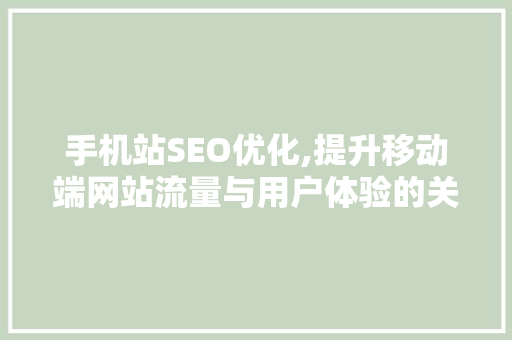 手机站SEO优化,提升移动端网站流量与用户体验的关键步骤