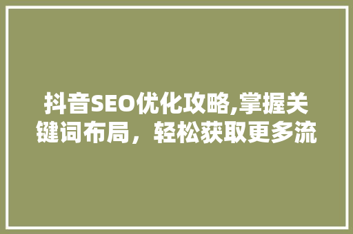 抖音SEO优化攻略,掌握关键词布局，轻松获取更多流量