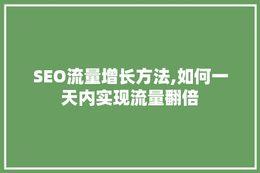 SEO流量增长方法,如何一天内实现流量翻倍  第1张
