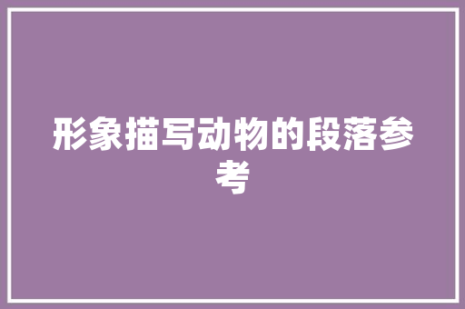 SEO竞争性磋商,步骤优化与实战方法介绍