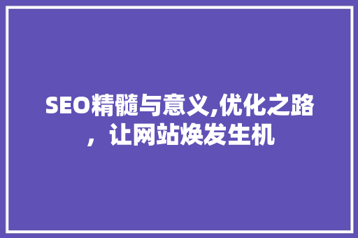 SEO精髓与意义,优化之路，让网站焕发生机  第1张