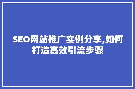 SEO网站推广实例分享,如何打造高效引流步骤