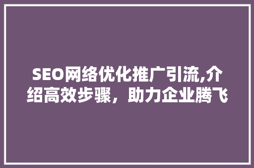SEO网络优化推广引流,介绍高效步骤，助力企业腾飞