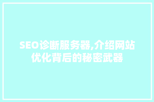 SEO诊断服务器,介绍网站优化背后的秘密武器