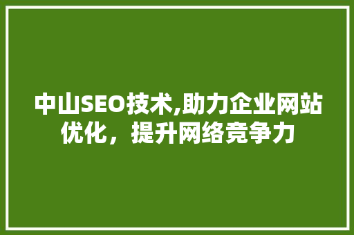 中山SEO技术,助力企业网站优化，提升网络竞争力