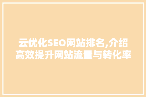 云优化SEO网站排名,介绍高效提升网站流量与转化率的方法