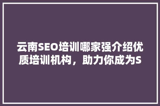 云南SEO培训哪家强介绍优质培训机构，助力你成为SEO高手！  第1张