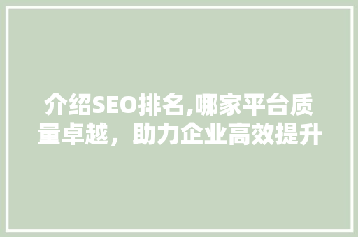 介绍SEO排名,哪家平台质量卓越，助力企业高效提升网站排名