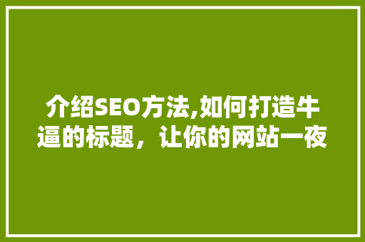 介绍SEO方法,如何打造牛逼的标题，让你的网站一夜爆红！