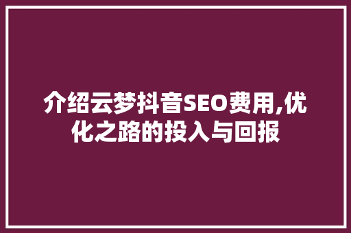 介绍云梦抖音SEO费用,优化之路的投入与回报  第1张