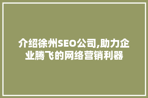 介绍徐州SEO公司,助力企业腾飞的网络营销利器
