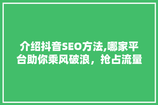 介绍抖音SEO方法,哪家平台助你乘风破浪，抢占流量高地