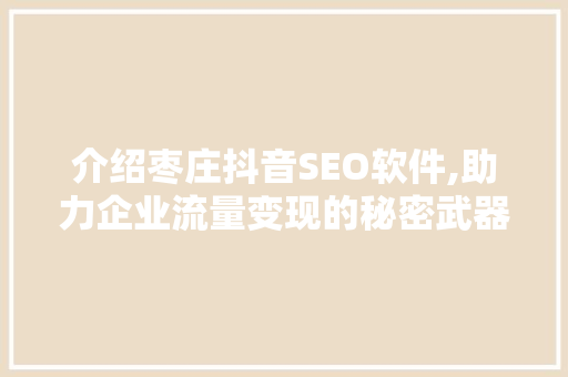 介绍枣庄抖音SEO软件,助力企业流量变现的秘密武器