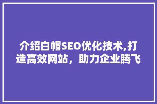 介绍白帽SEO优化技术,打造高效网站，助力企业腾飞