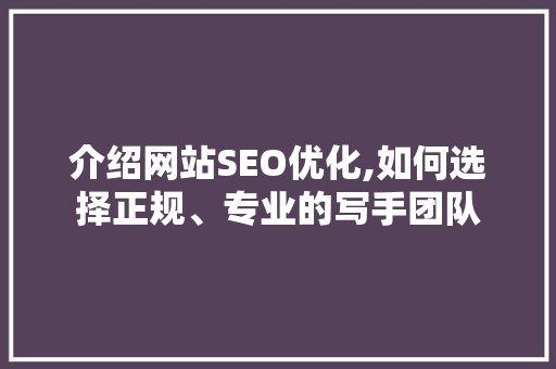 介绍网站SEO优化,如何选择正规、专业的写手团队  第1张