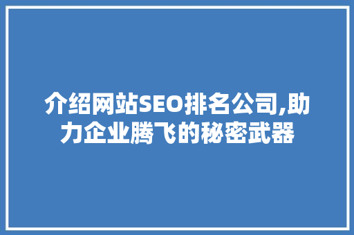 介绍网站SEO排名公司,助力企业腾飞的秘密武器