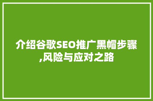 介绍谷歌SEO推广黑帽步骤,风险与应对之路